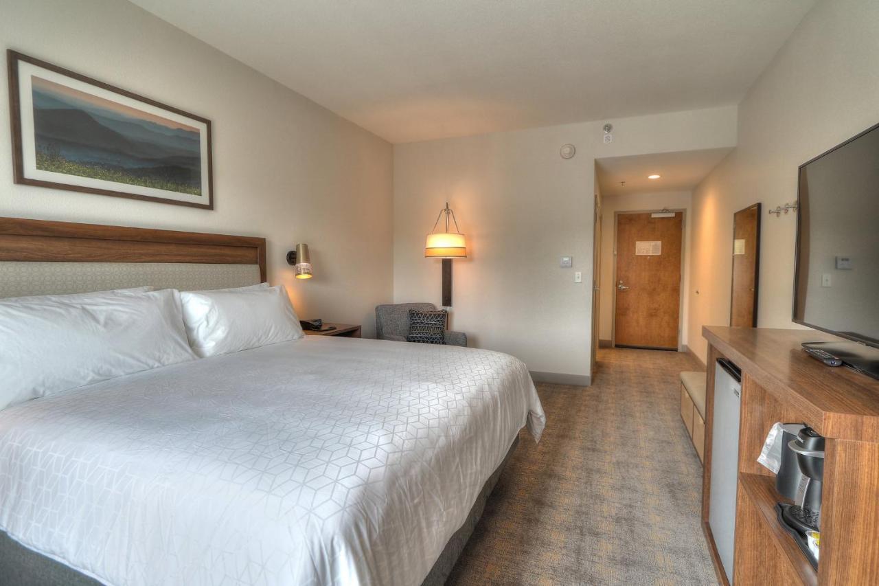 Holiday Inn & Suites Pigeon Forge Convention Center, An Ihg Hotel Екстер'єр фото