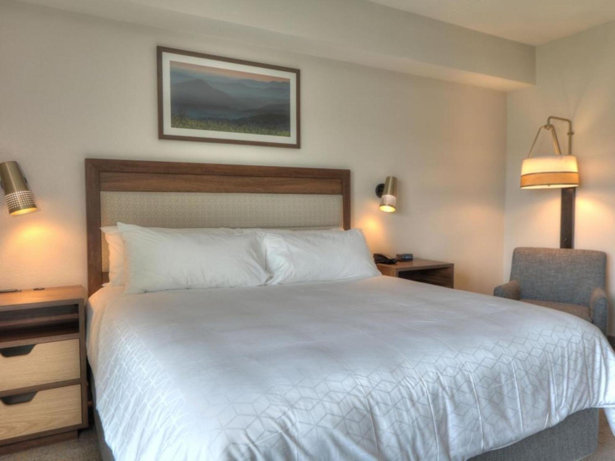 Holiday Inn & Suites Pigeon Forge Convention Center, An Ihg Hotel Екстер'єр фото